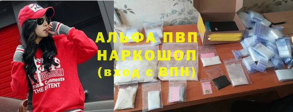 кокс Инсар