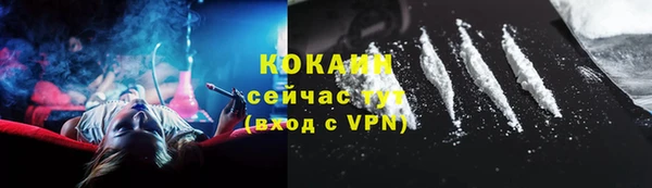 кокс Инсар