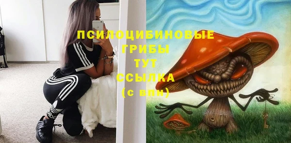герыч Зерноград
